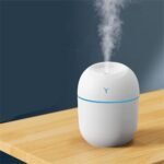 Mini Humidifier
