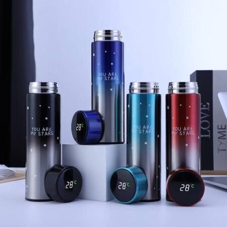 Hot and Cold water bottle with LED Temperature Display