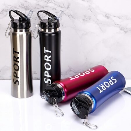 New Sports Stainless Steel Bottle 600ml (Random Color)