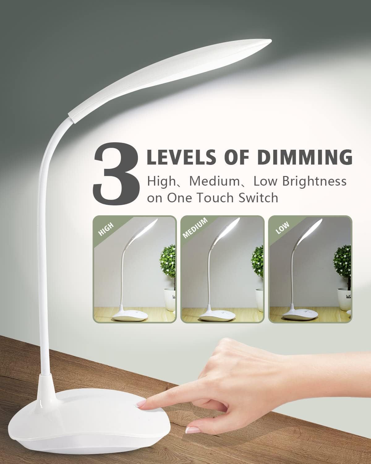 WhatsApp Image 2025-11-17 at 2.21.20 PM