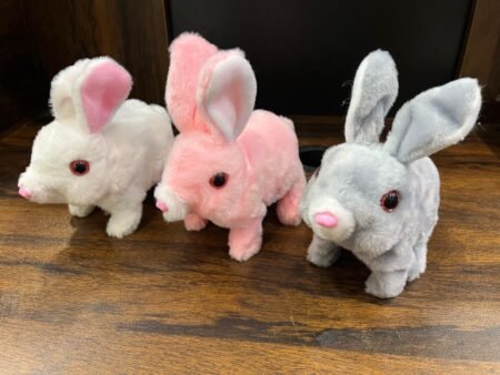 Walking Rabbit for kids