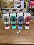 New Design Golden Edition Fruit Fan (Premium Quality)
