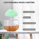Rechargeable Plus USB Operated Cloud Rain Humidifier