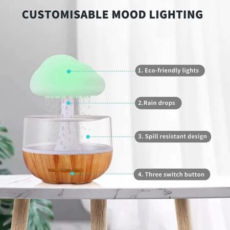 Rechargeable Plus USB Operated Cloud Rain Humidifier